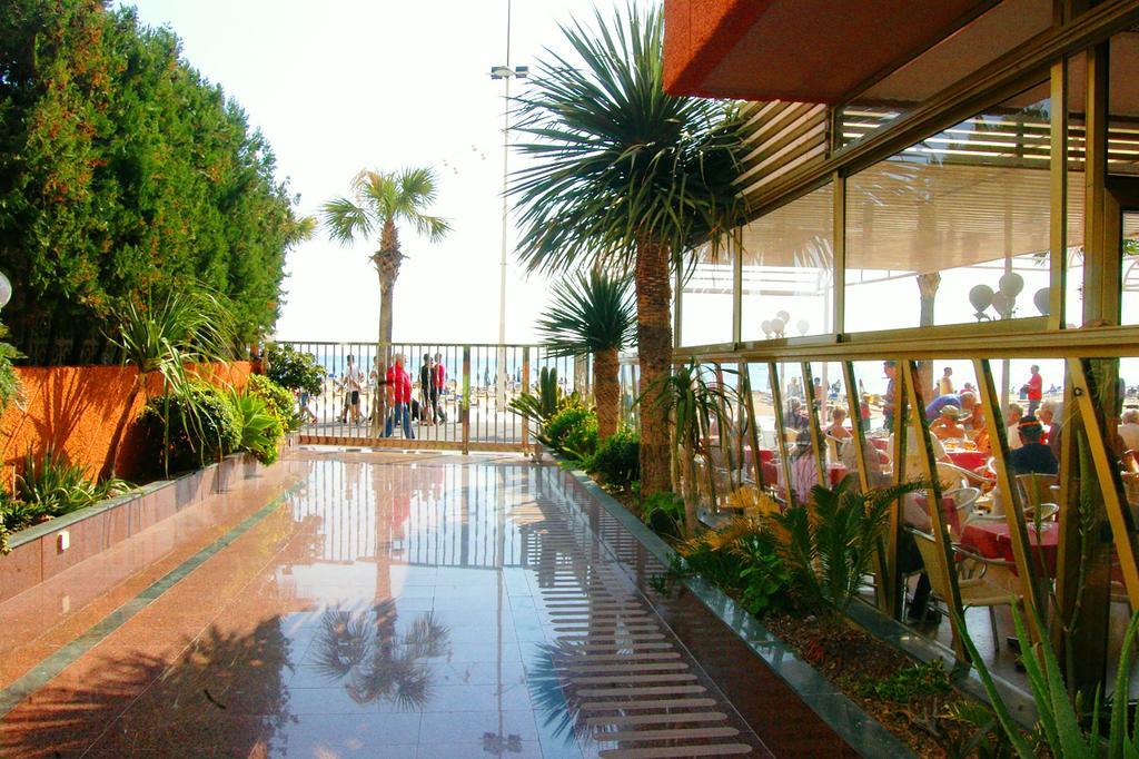 Apartamentos Torre Don Vicente - Arca Rent Μπένιντορμ Εξωτερικό φωτογραφία